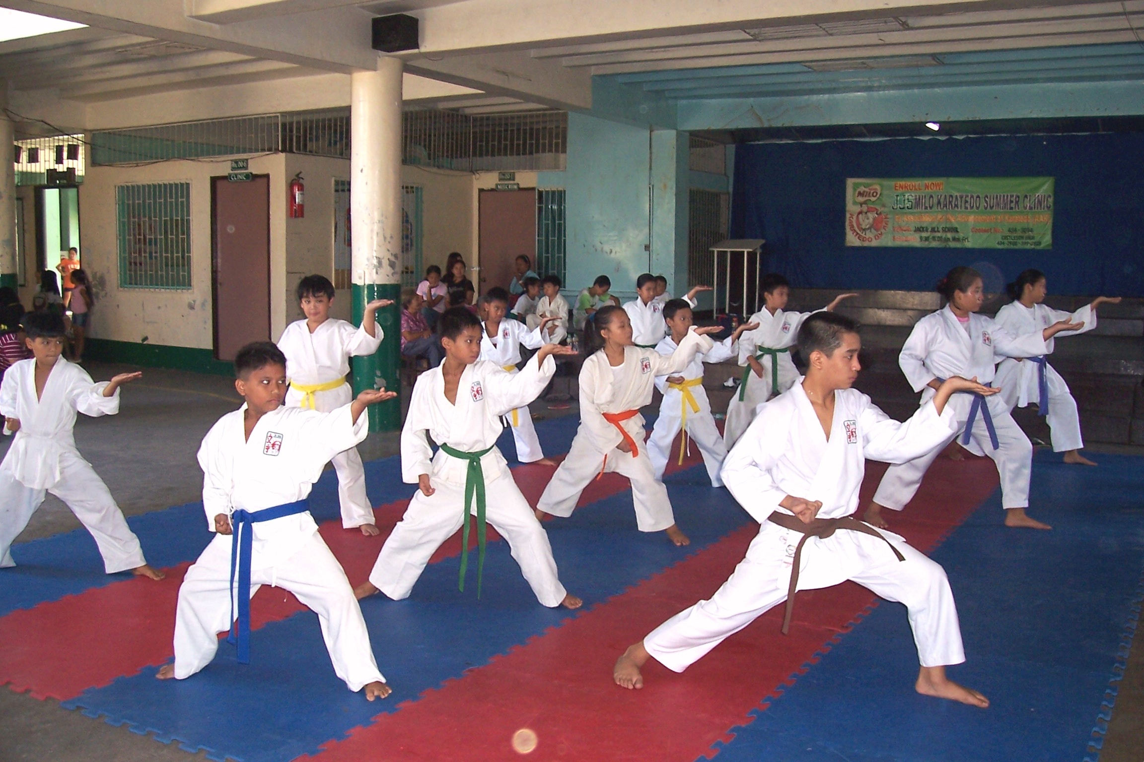 Perkembangan Karate Di Indonesia – Komite Olahraga Nasional Indonesia